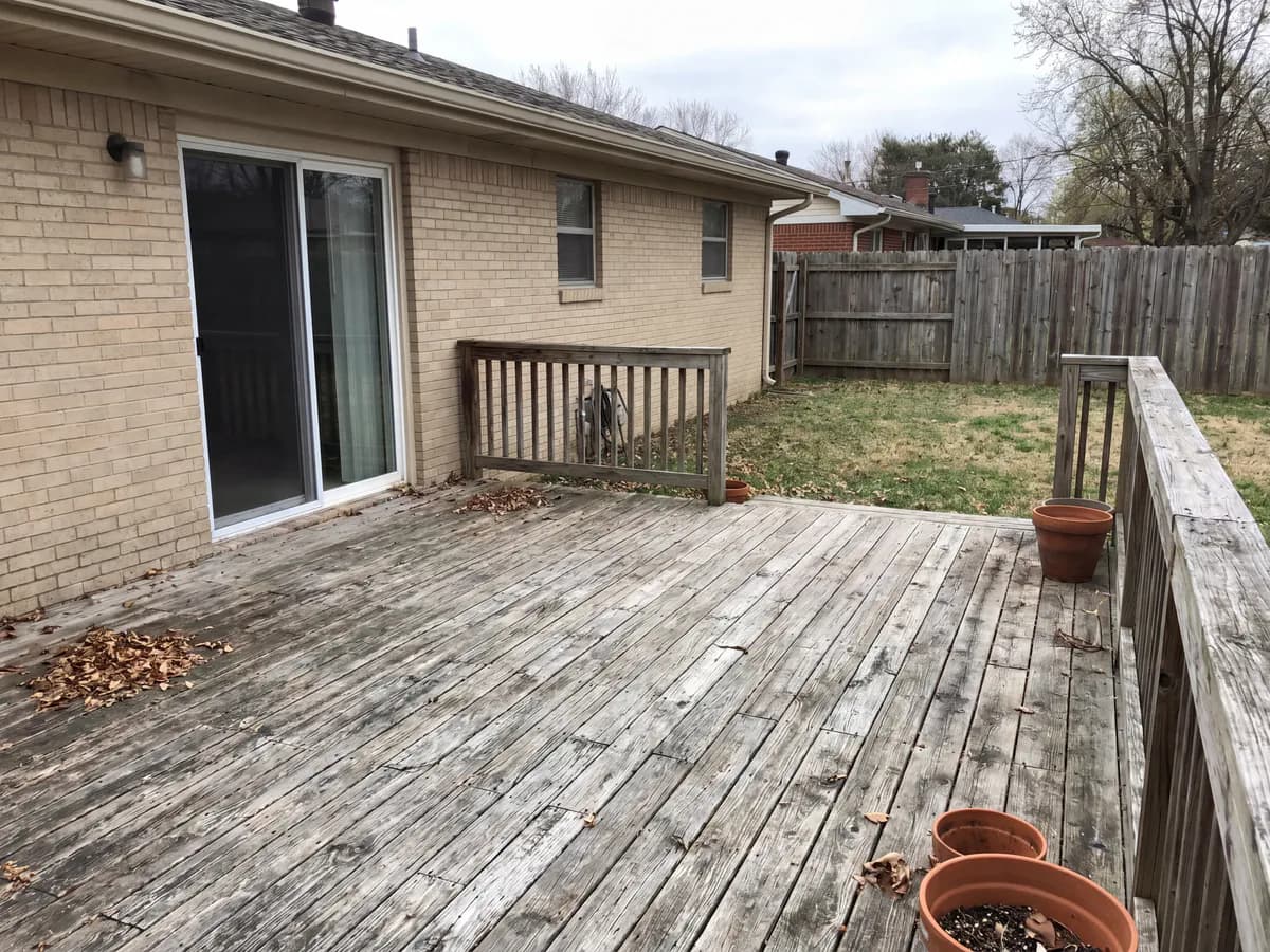A real yard photo before its landscape redesign