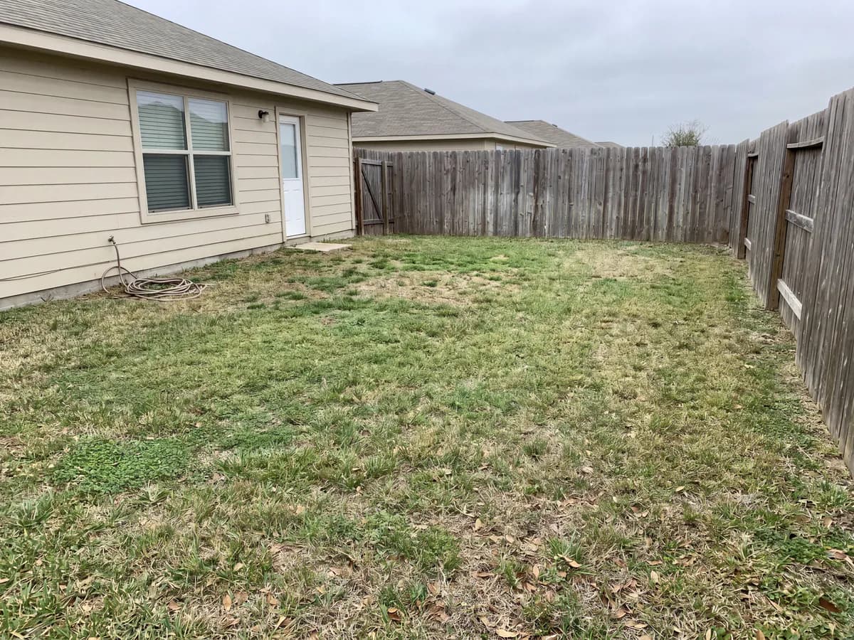 A real yard photo before its landscape redesign