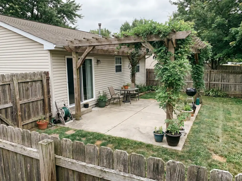 Vine-covered