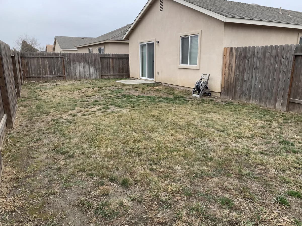 AI garden planner before and after: a bare garden photo turned into a planted layout with clear bed shapes.