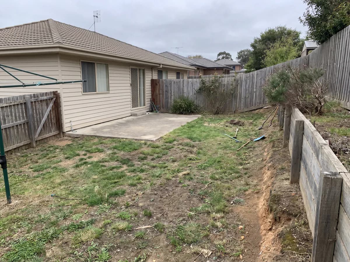 A real yard photo before its landscape redesign