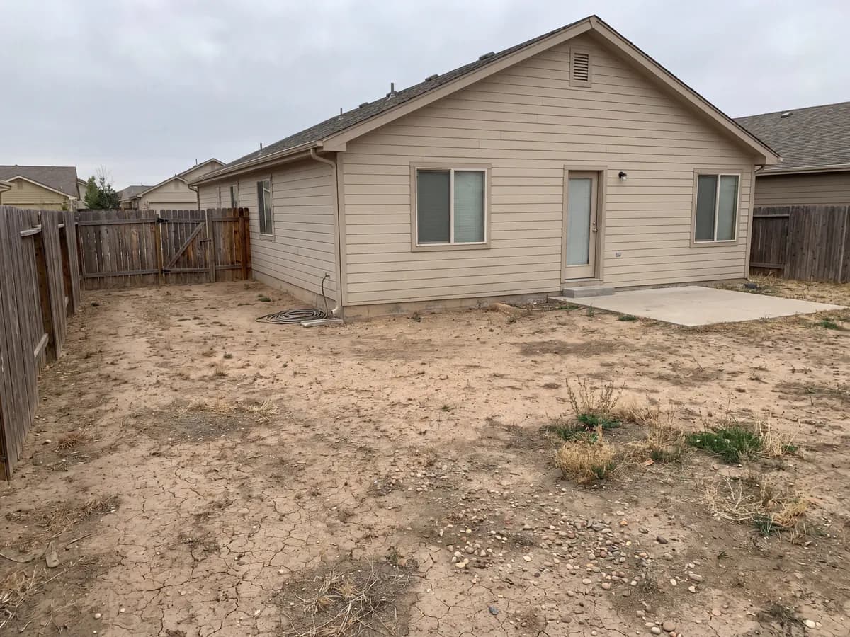 A real yard photo before its landscape redesign
