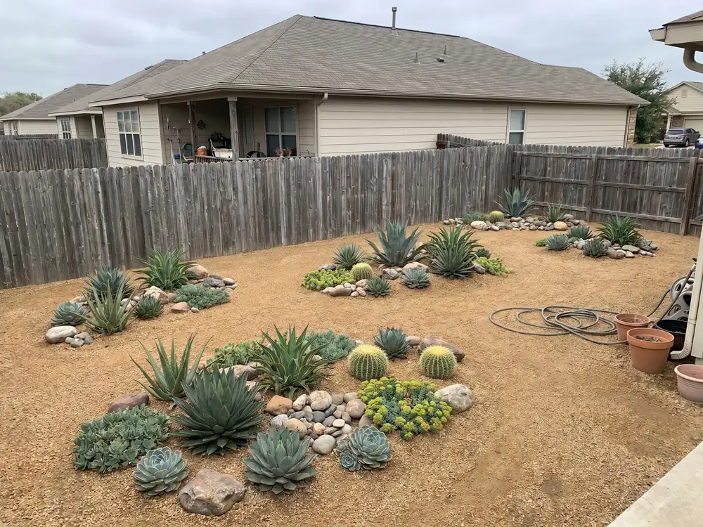 Gravel & succulent