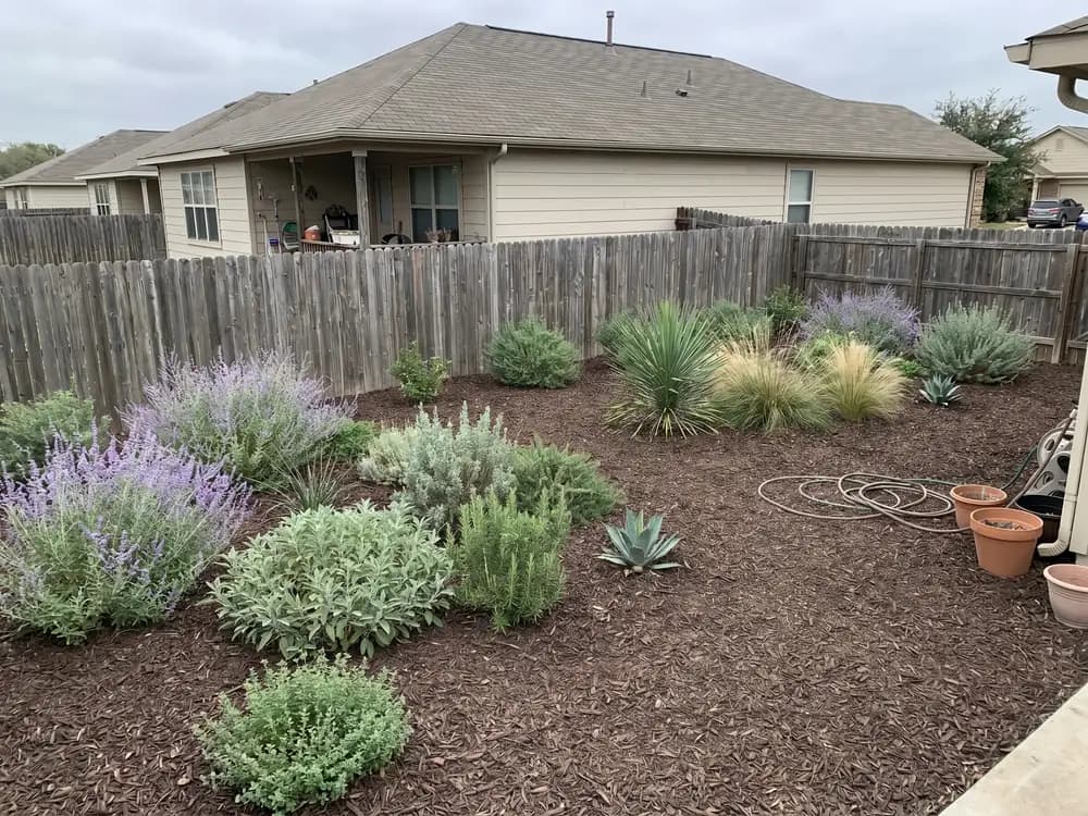 Mulch & shrub