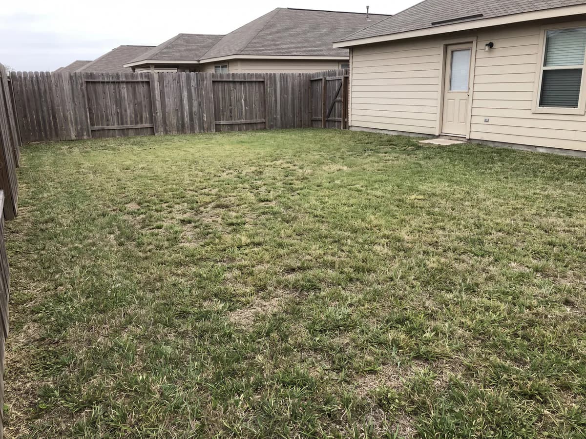 Backyard design tool before and after: a plain backyard photo redesigned into a finished outdoor space.