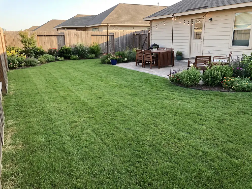 Family yard