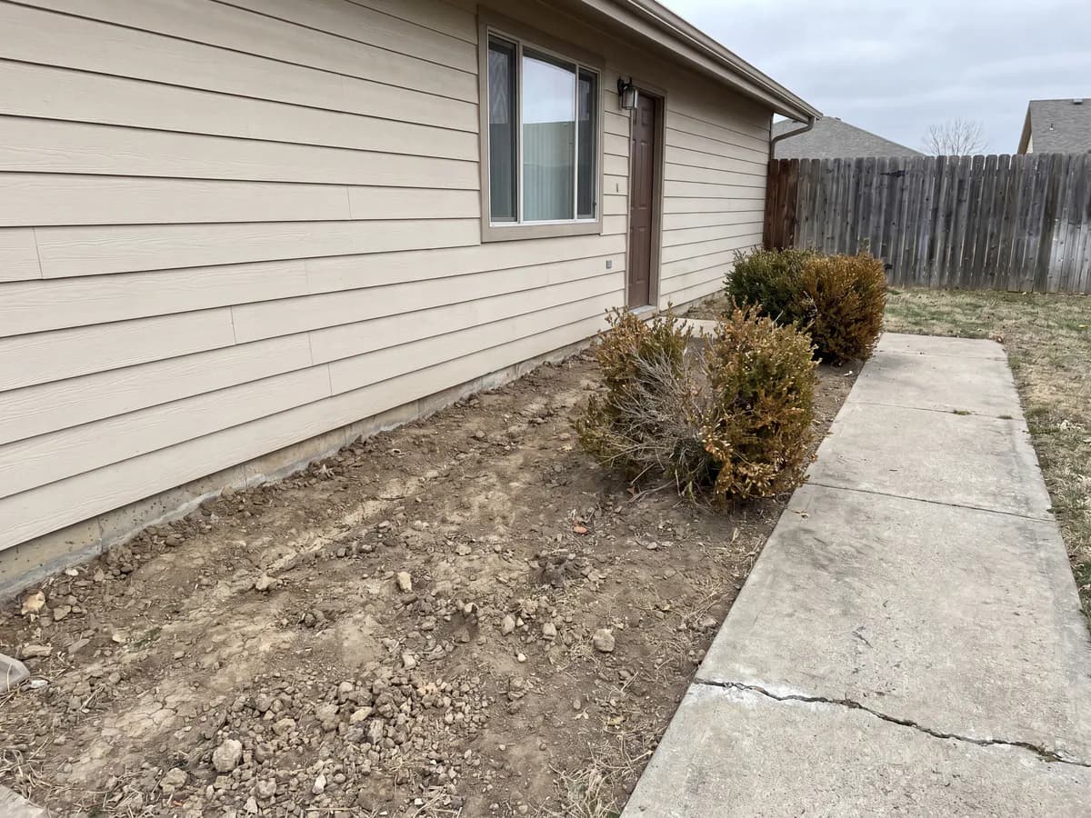 A real yard photo before its landscape redesign