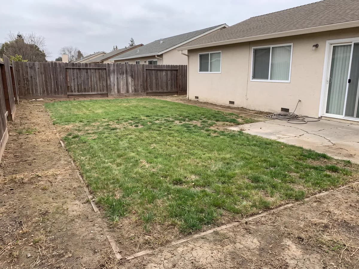 A real yard photo before its landscape redesign