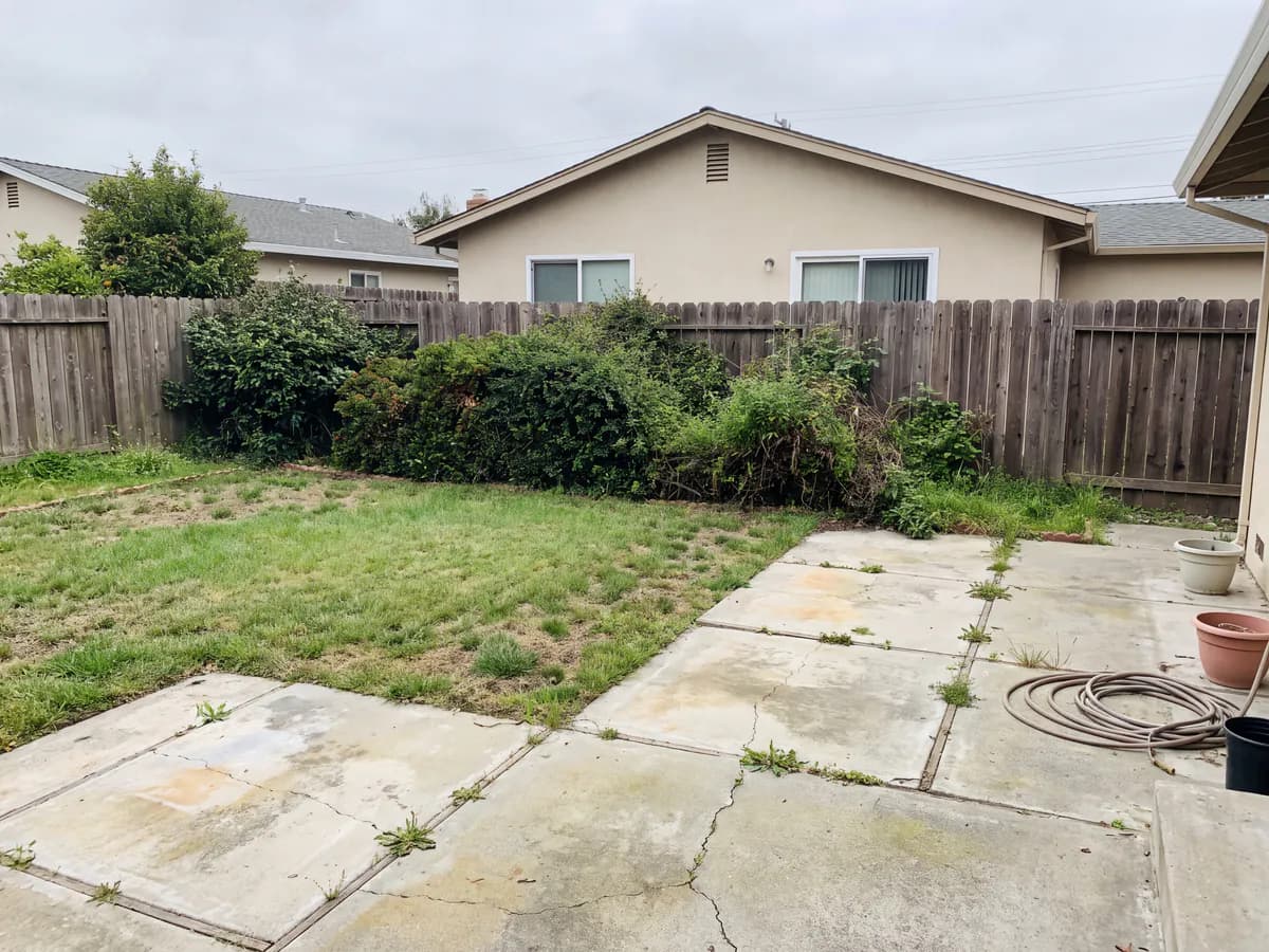 A real yard photo before its landscape redesign
