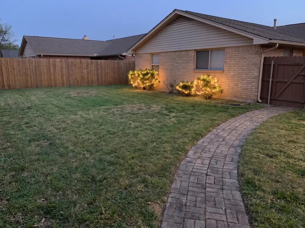 Fairy lights