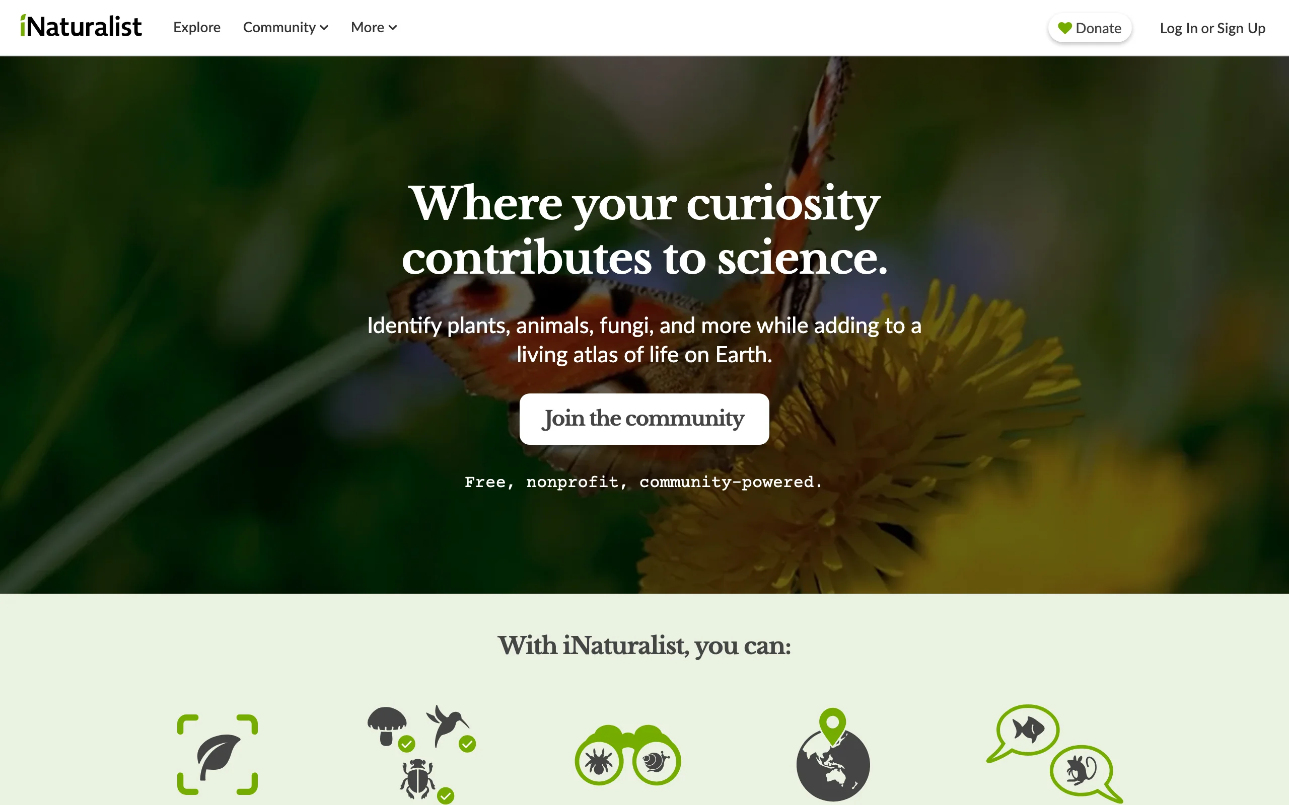 Plant Identification Apps with iNaturalist