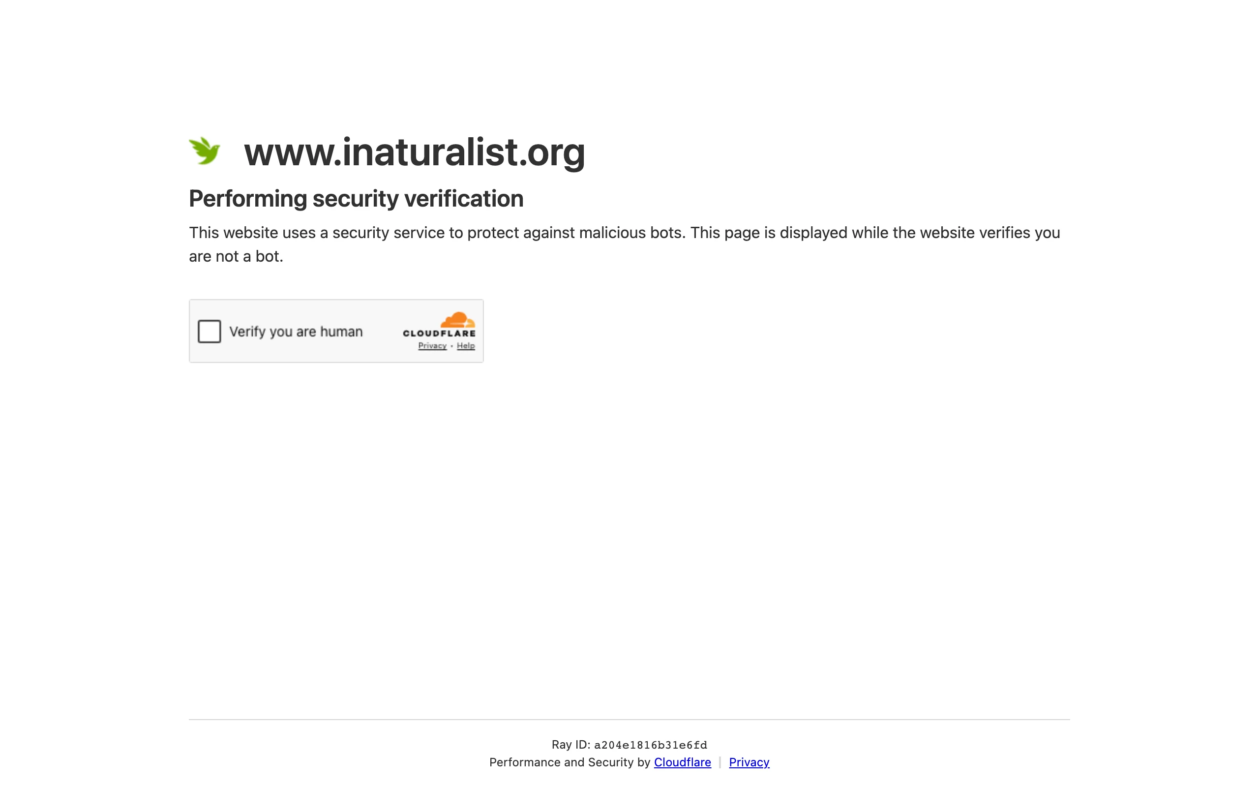 Plant Identification Apps with Seek by iNaturalist