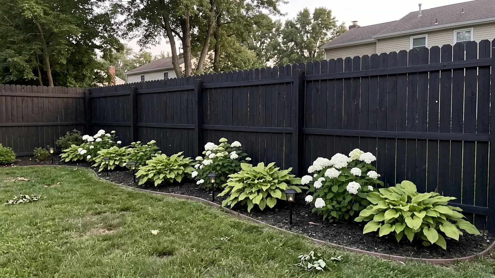 Six-foot pine board privacy fence stained solid black with hostas and white hydrangeas planted along the base