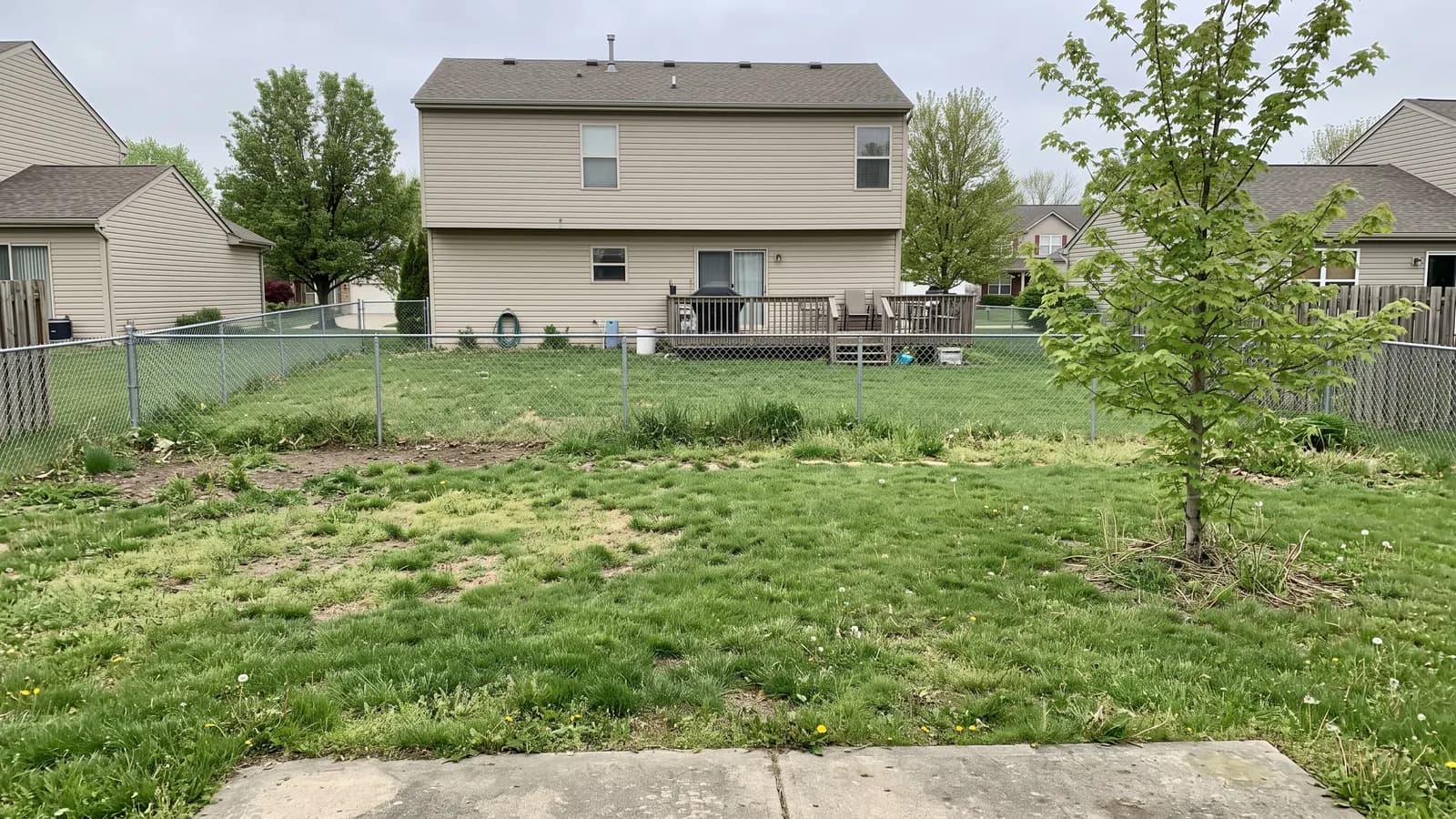 Ordinary suburban backyard before any changes, with a four-foot chain link fence and the neighbor's house and deck in full view