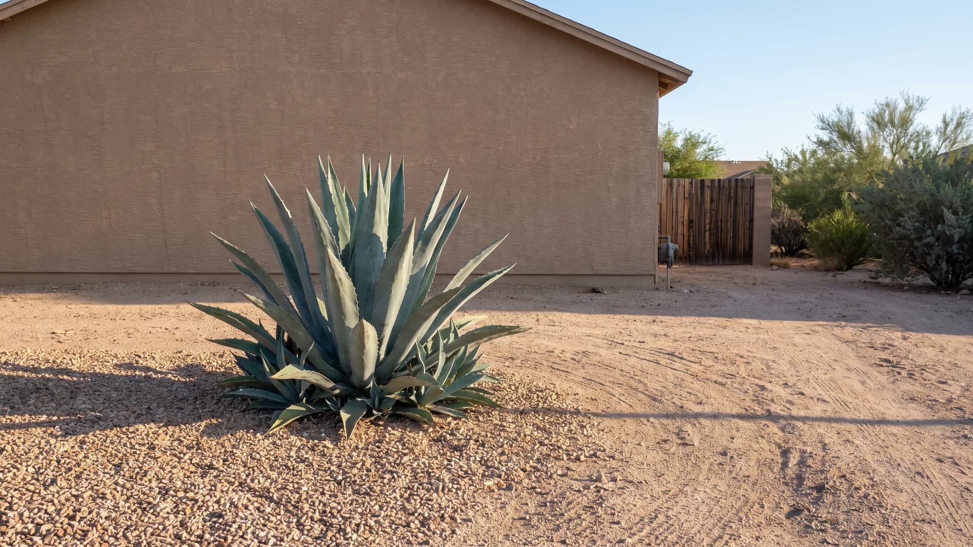 Single large agave anchoring a gravel bed in front of a stucco wall