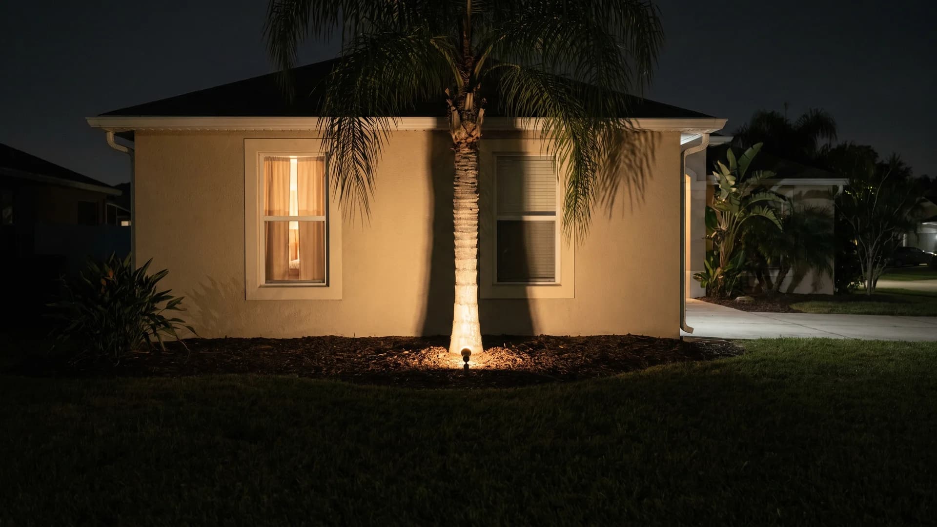 Single palm uplit at night casting frond shadows on the front wall of a house