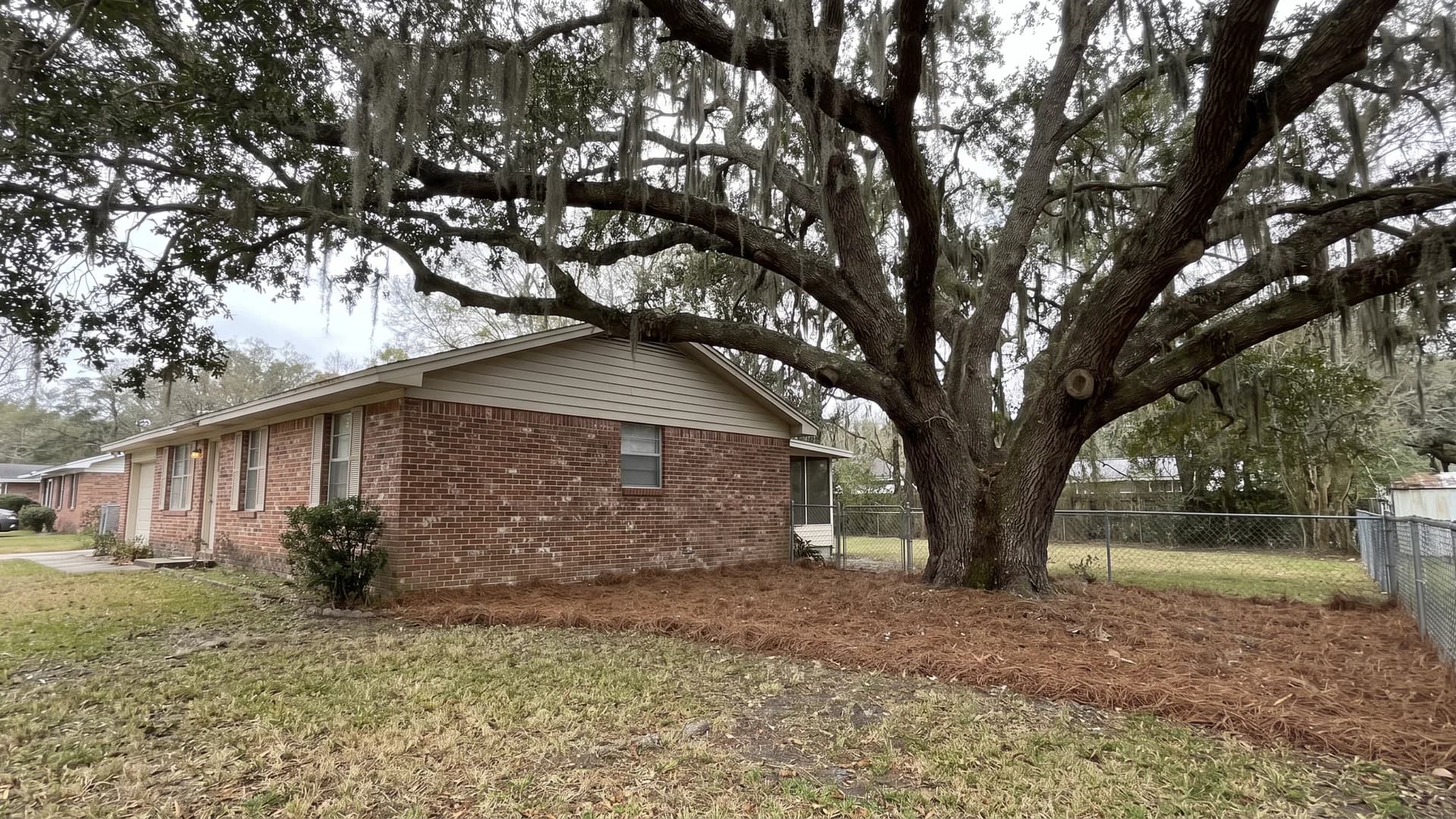 Mature live oak shading the side of a single story Florida home after a storm