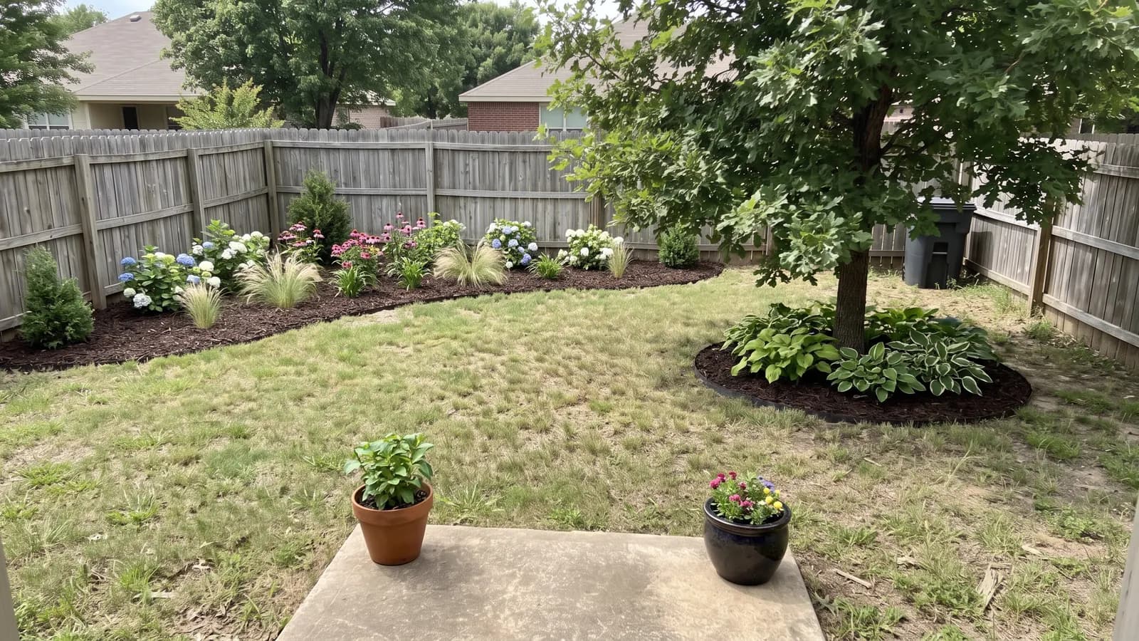 AI concept of the same backyard with a low-cost planting refresh: an edged lawn, a curved mulched bed with hydrangeas and grasses along the fence and hostas around the oak
