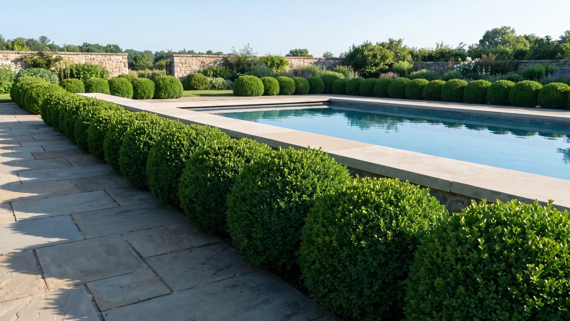 Neat boxwood shrubs edging a pool patio