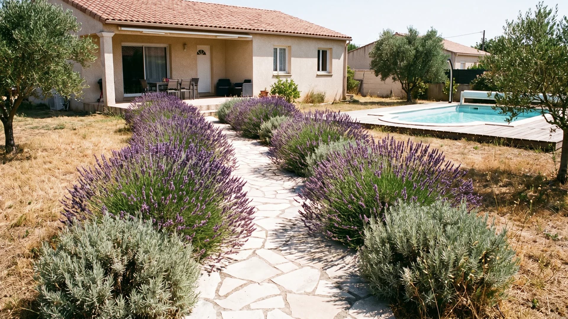 Lavender and rosemary strip along a stone path to a backyard pool