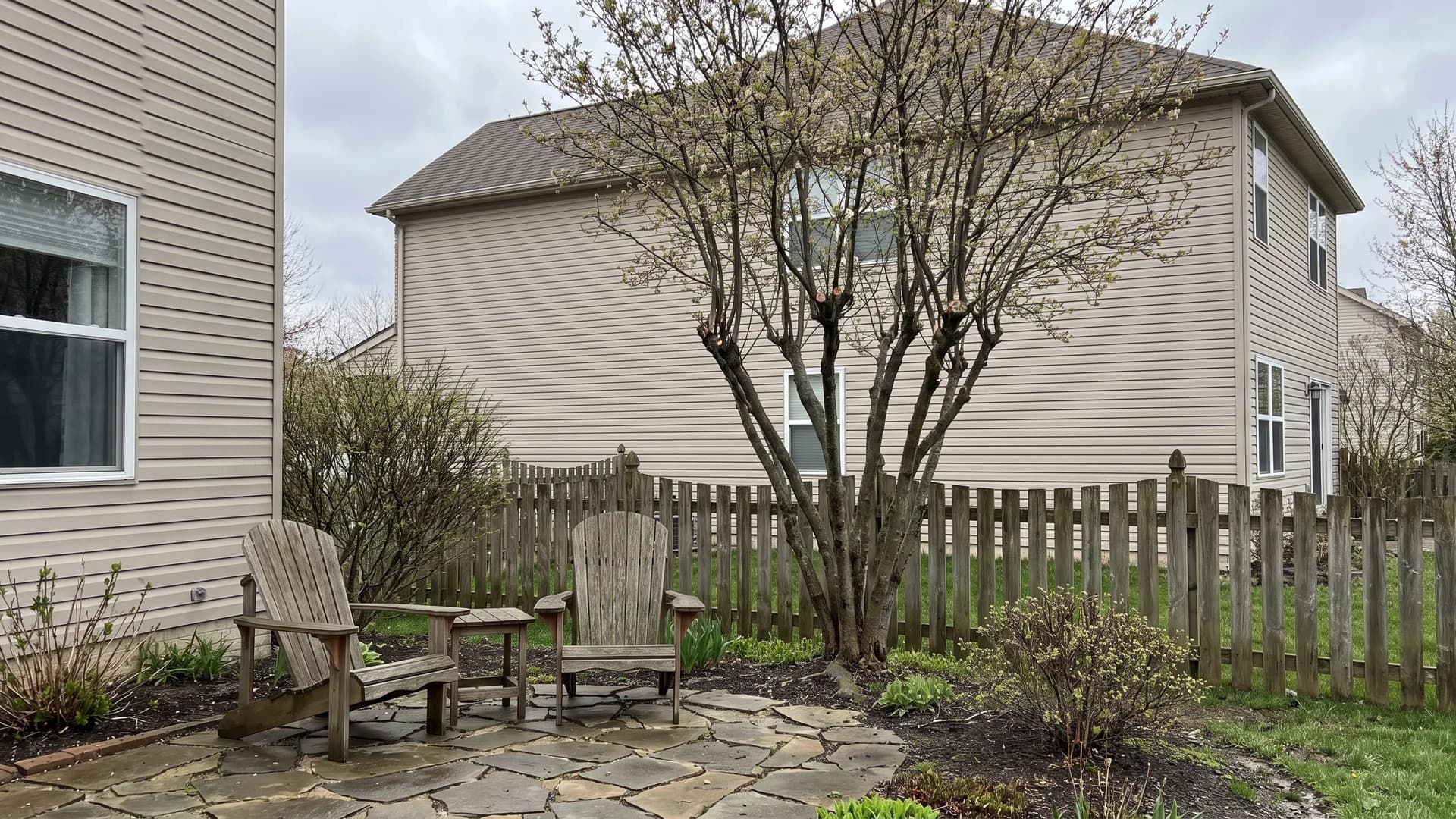 Multi-stem serviceberry limbed up to screen a neighboring second-floor window above a patio