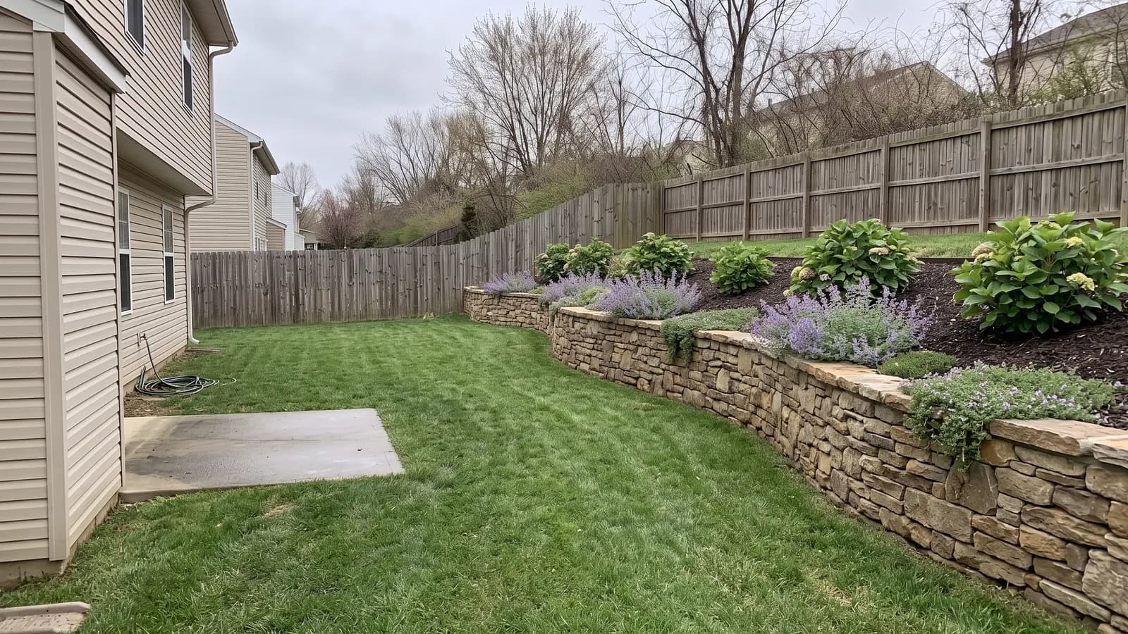 AI concept of a curving dry-stacked fieldstone retaining wall on the same slope, with creeping thyme and catmint spilling over the capstones