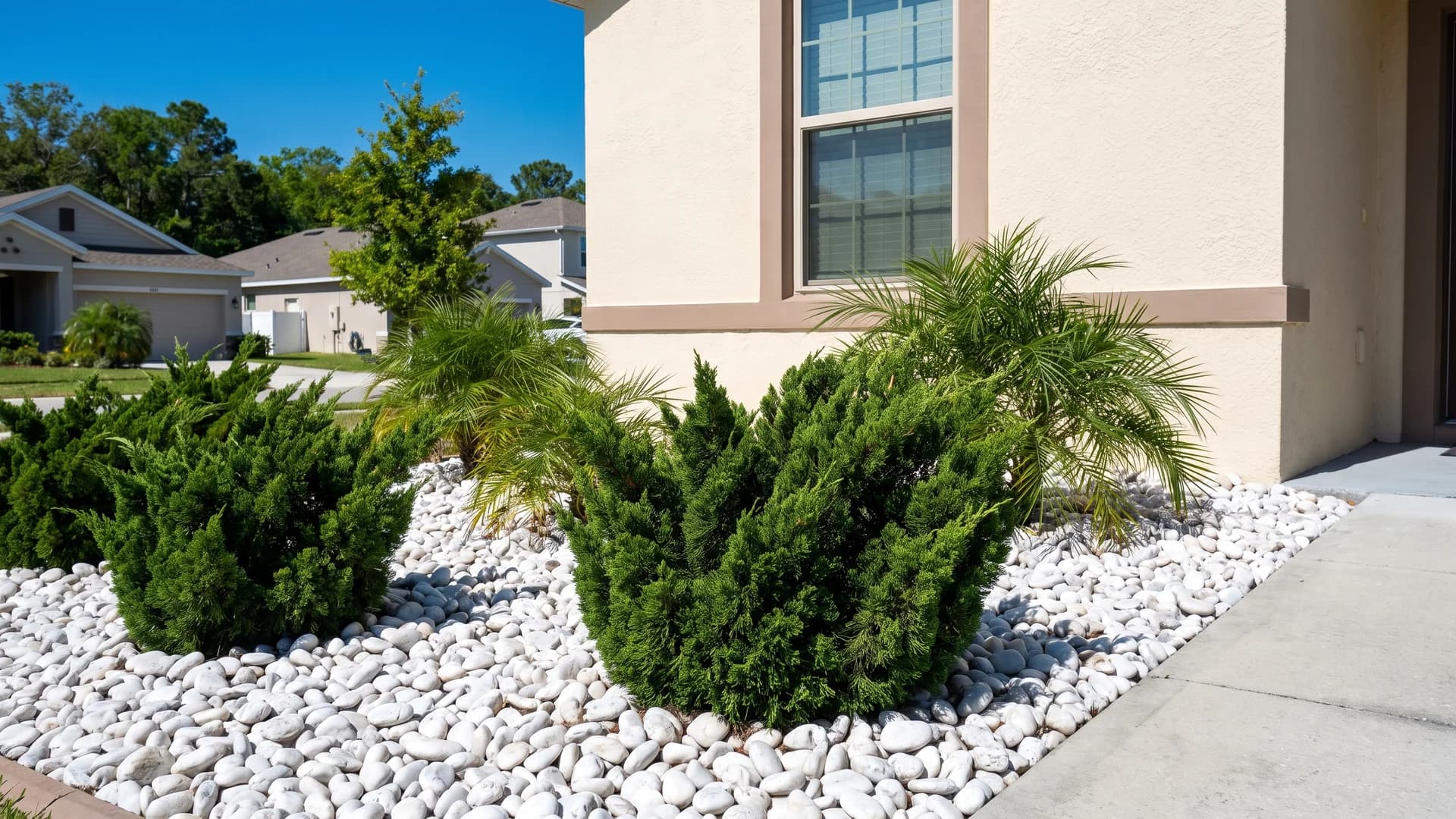 White river rock bed with dark evergreen shrubs against a house