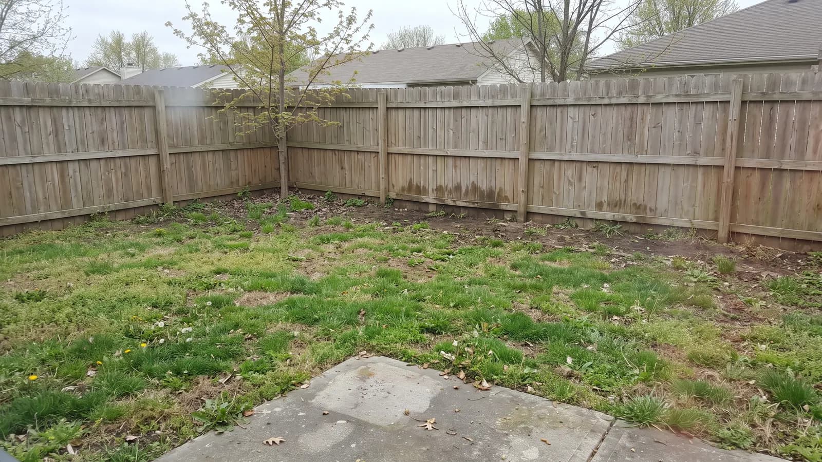 Virtual landscape design starts with an ordinary backyard photo like this one: patchy lawn, a small concrete patio and a wooden privacy fence